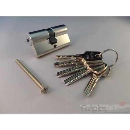 CYLINDRE NICKELE D6 30x30MM