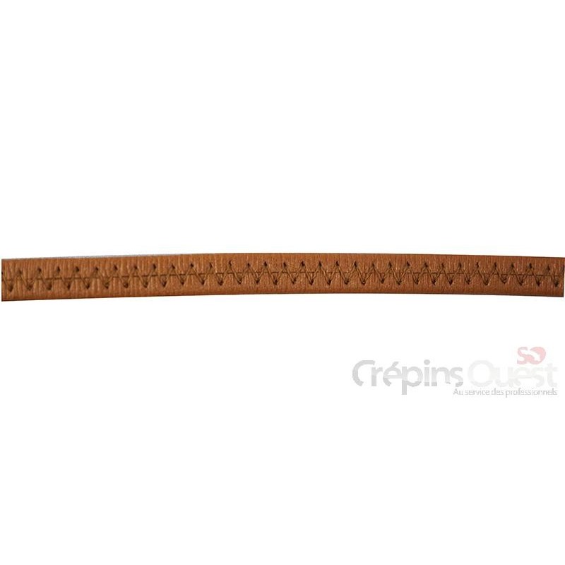 ELASTIQUE FRONCE 1 CM