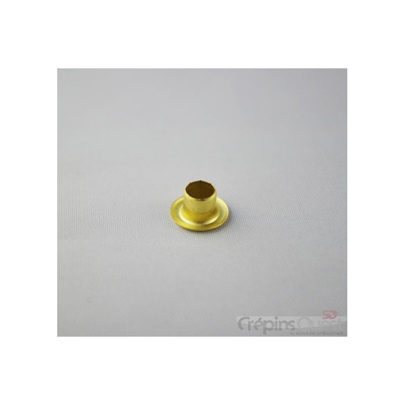 OEILLET P02 PAR 100 NICK - JAUNE