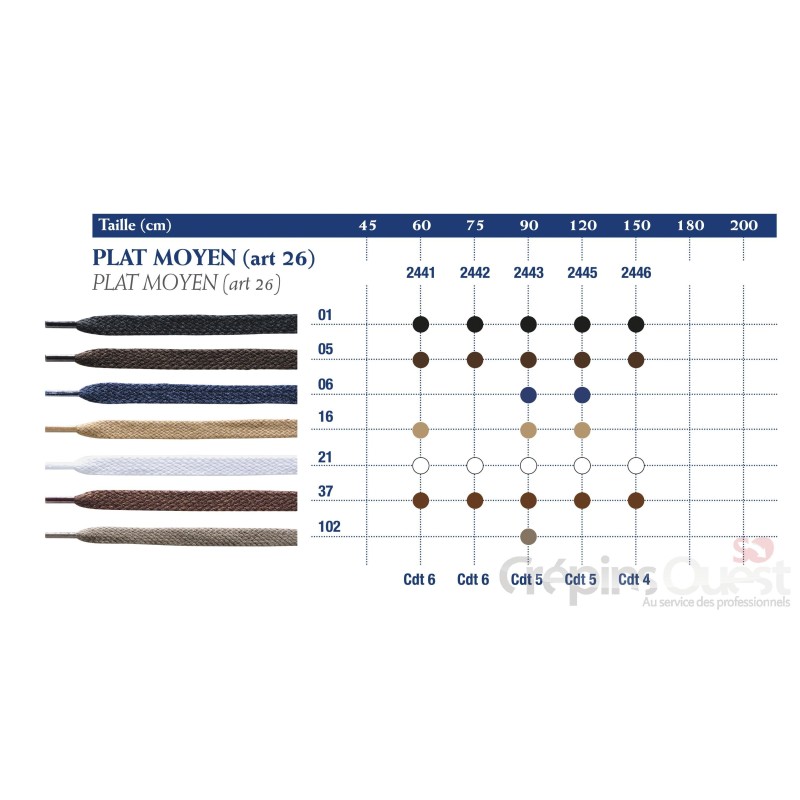 SAPHIR LACET PLAT MOYEN 76 60cm Bte de 6p