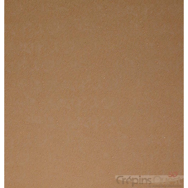 TRANSTOP STRONG 4 mm PLAQUE 96X60