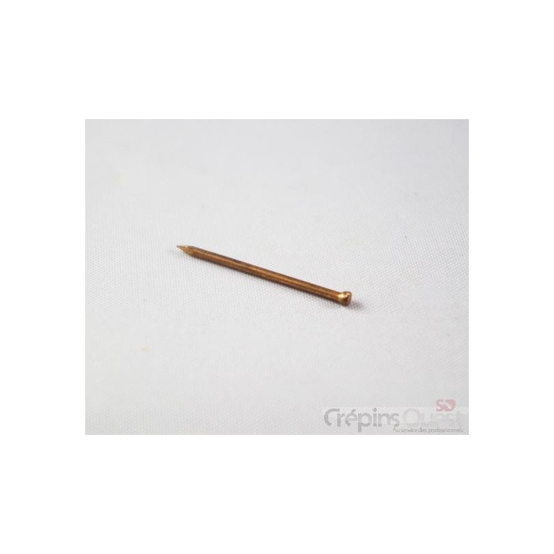 POINTE TETE HOMME LION ROUGE 30/10