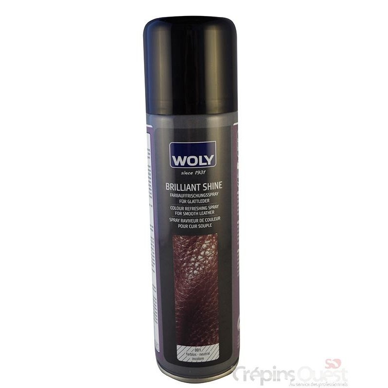 WOLY BRILLANT SHINE AERO 250ml