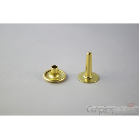 RIVET 4008 LONG PAR 100