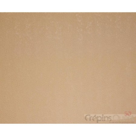 TRANSTOP STRONG 6 mm PLAQUE 96X60