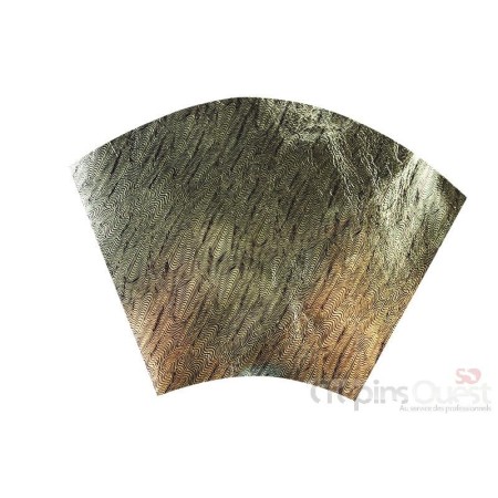 ENVELOPPE COULEUR TALON CUIR