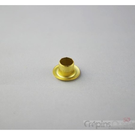 OEILLET P06 PAR 100 NICK - JAUNE