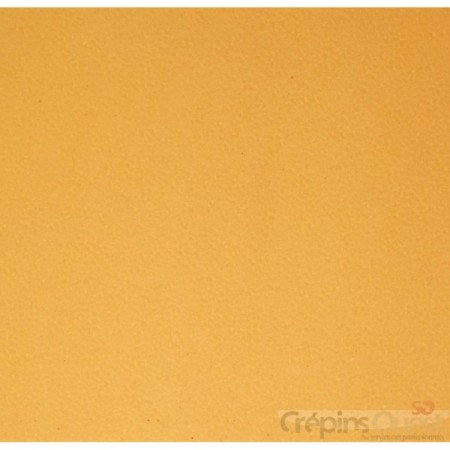 TRANSTOP STRONG 4 mm PLAQUE 96X60