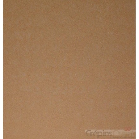 TRANSTOP STRONG 6 mm PLAQUE 96X60