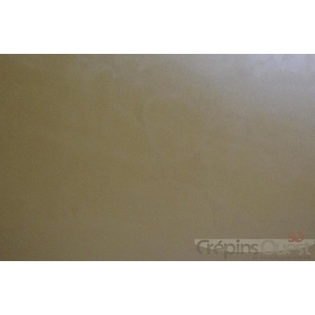 ELYSEE 1.8 mm PLAQUE 96x60